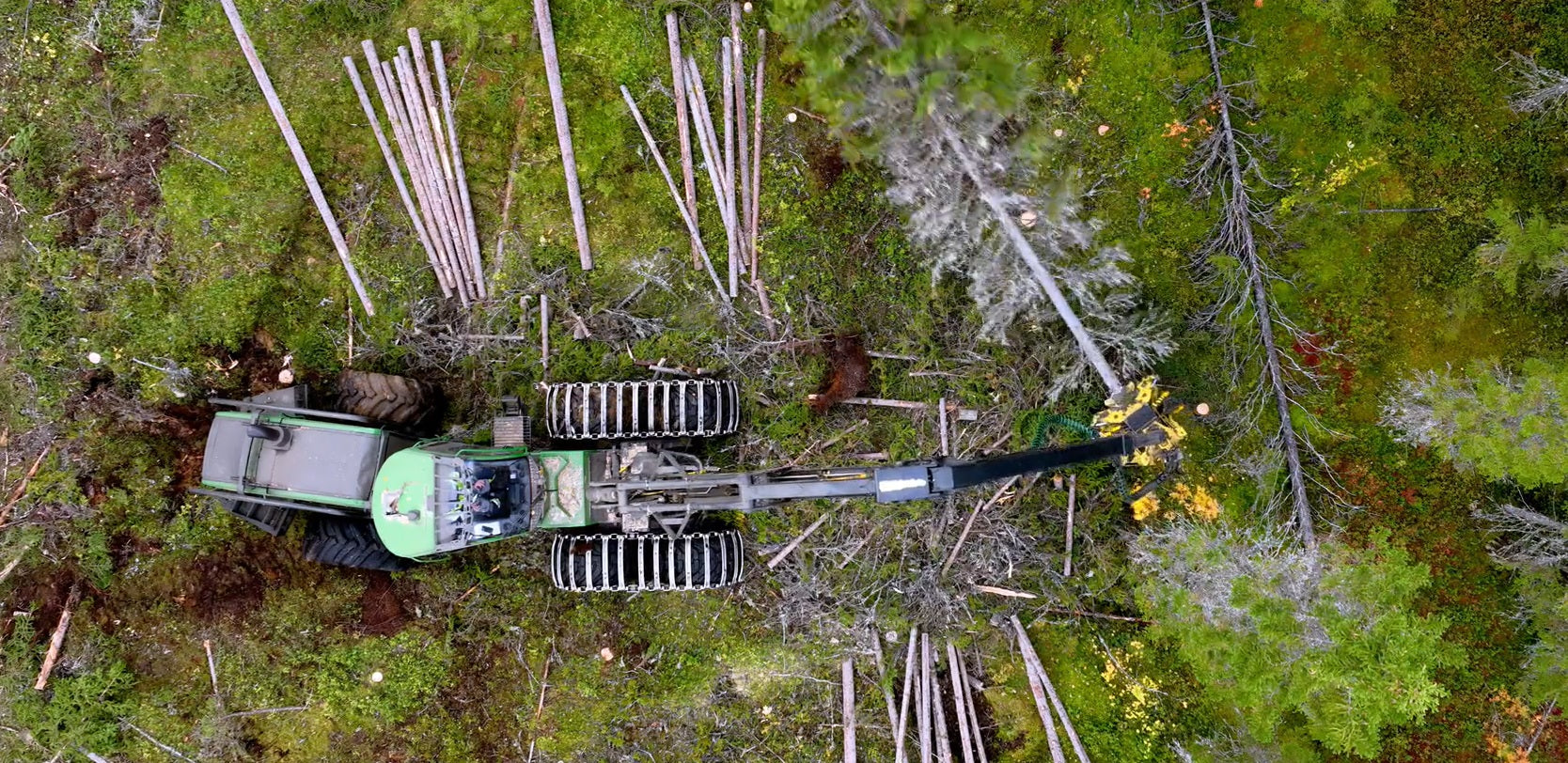 vegatol - oleje dla leśnictwa biodegradowalne